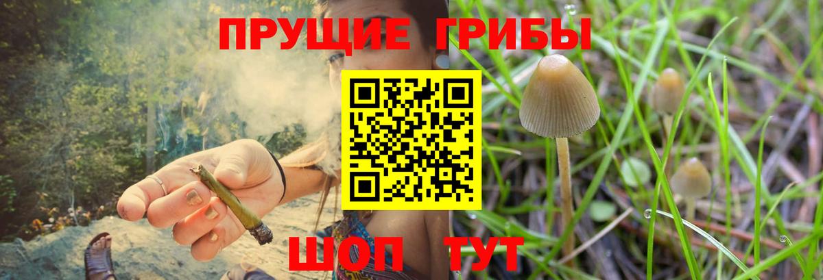 Псилоцибиновые грибы MAGIC MUSHROOMS  Вход с VPN  Мурманск 